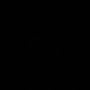 Meet your Posher, Caleb